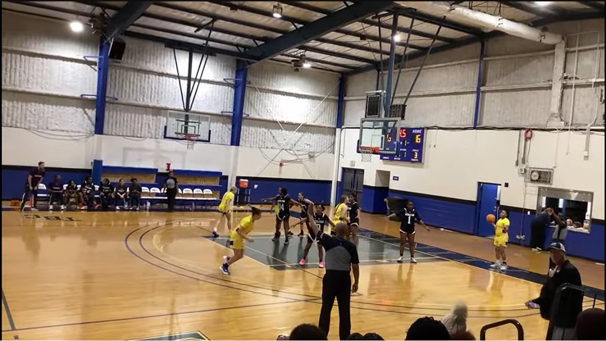 Women's Basketball: Three Eagles Have Big Games in Win at Denmark Tech